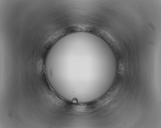 X0000112080318200908181247