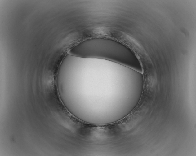 X0000112080320200908181247