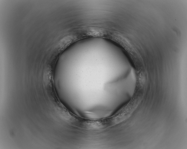 X0000112080322200908181247