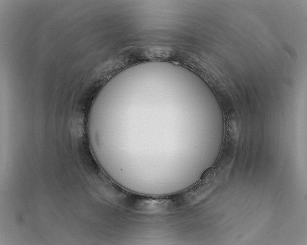 X0000112080323200908181247