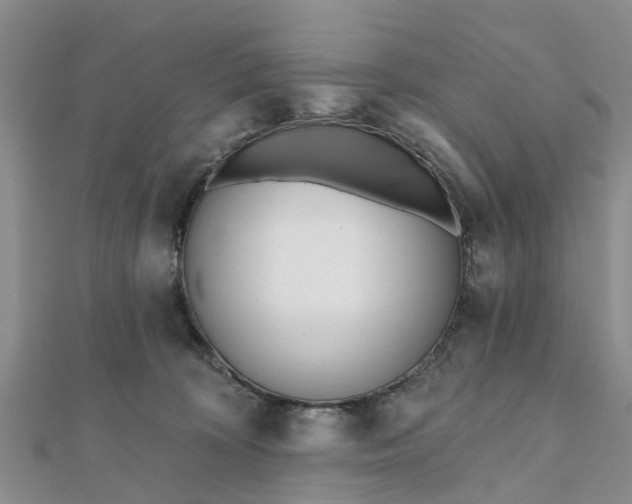 X0000112080324200908181247