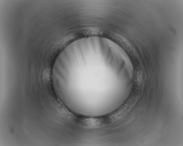 X0000112080326200908181247