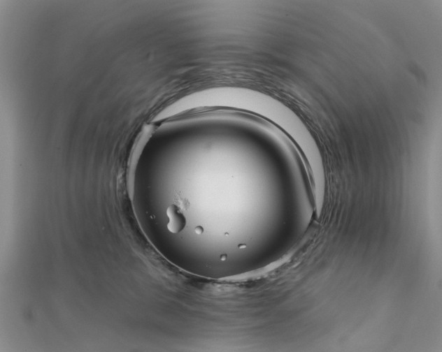 X0000112080327200908181247