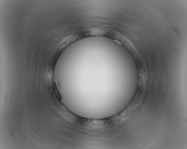 X0000112080329200908181247