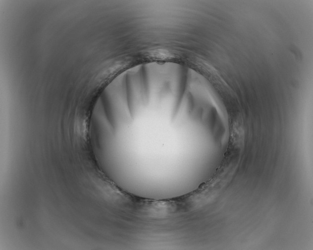 X0000112080330200908181247