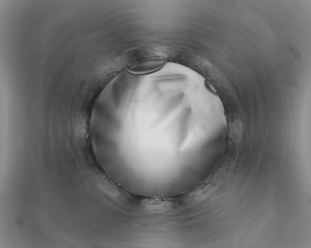 X0000112080331200908181247