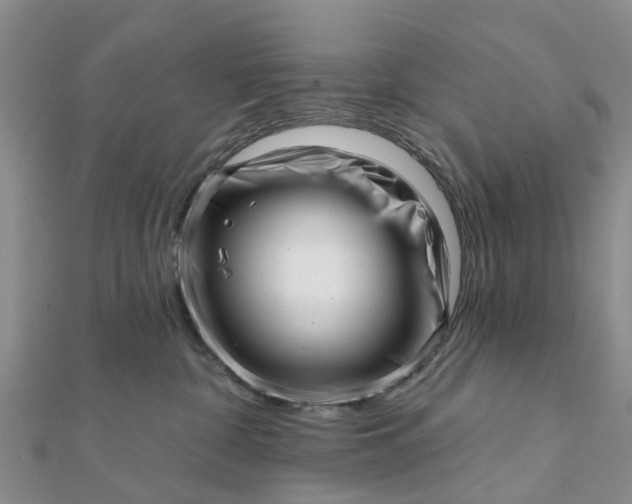 X0000112080332200908181247