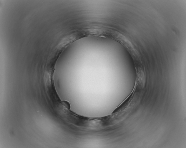 X0000112080333200908181247