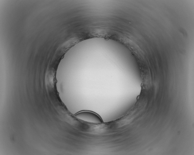 X0000112080334200908181247