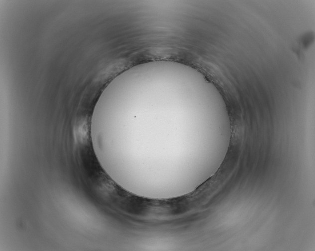 X0000112080335200908181247