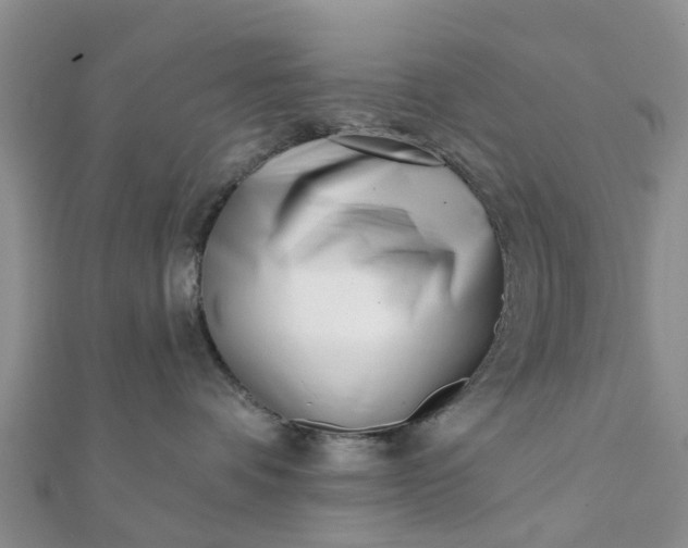 X0000112080336200908181247