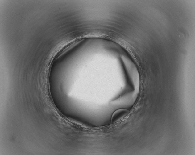 X0000112080337200908181246