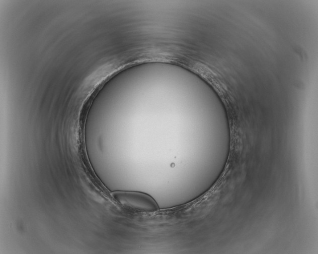 X0000112080338200908181246