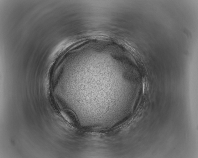 X0000112080339200908181247