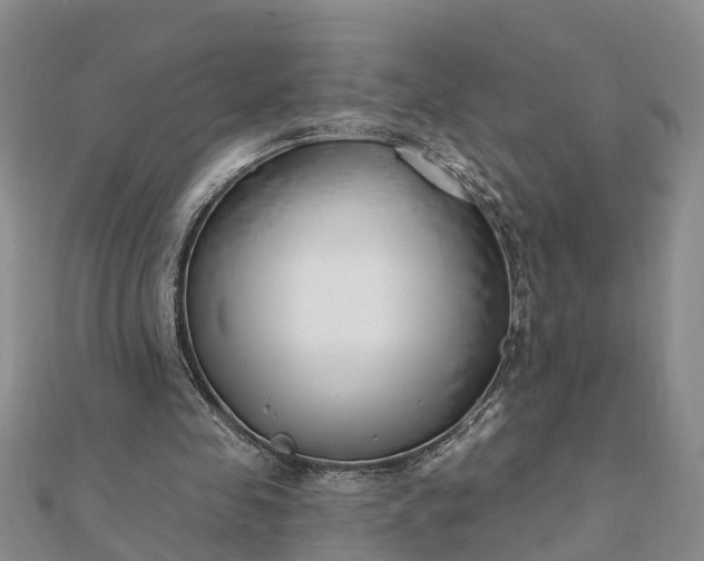 X0000112080341200908181247