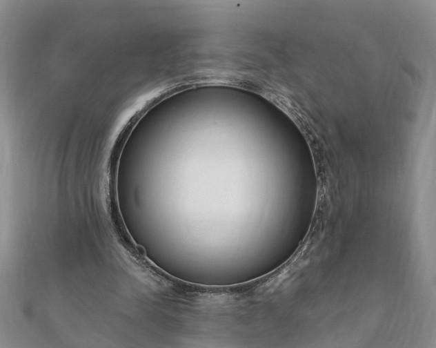 X0000112080342200908181247