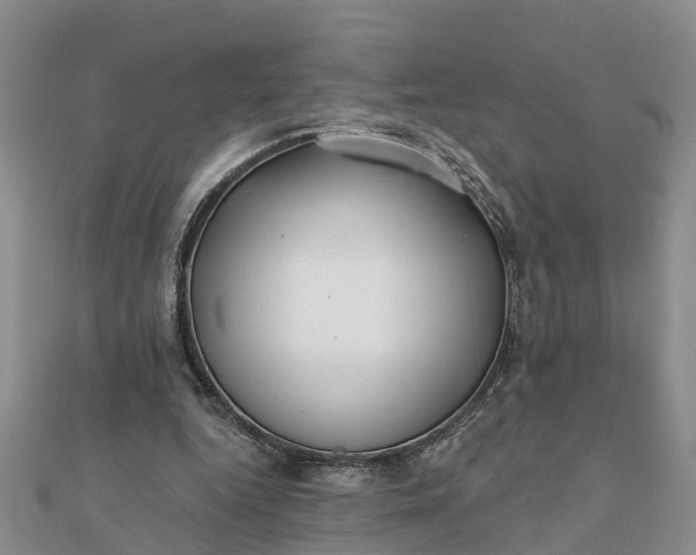 X0000112080344200908181247