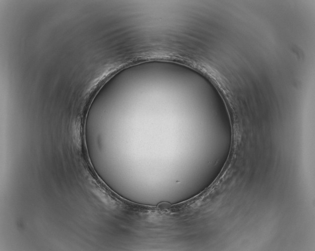 X0000112080345200908181247