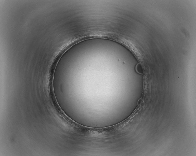 X0000112080346200908181247