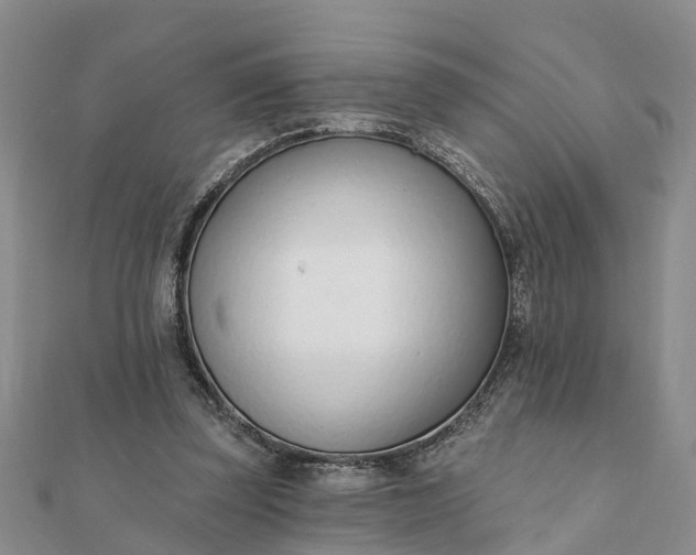 X0000112080347200908181247