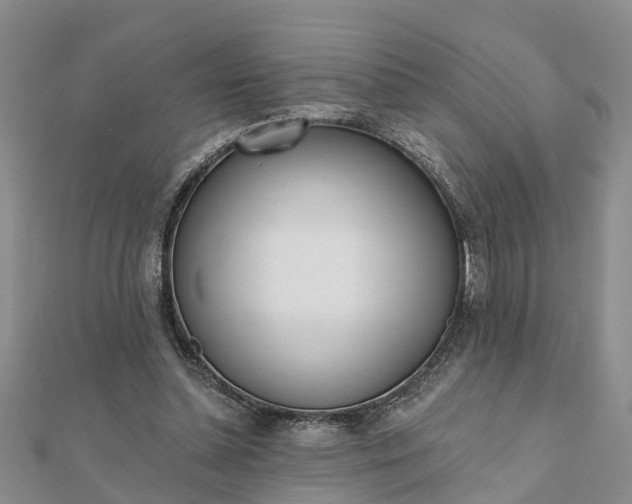 X0000112080348200908181247