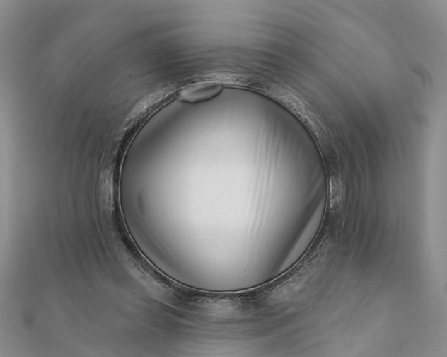 X0000112080349200908181247