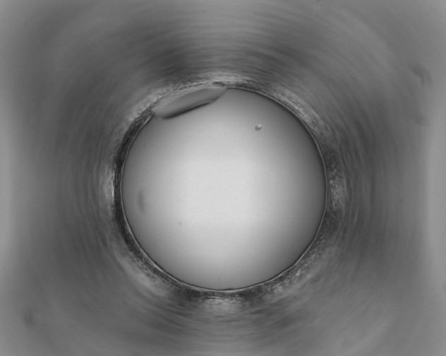 X0000112080350200908181247