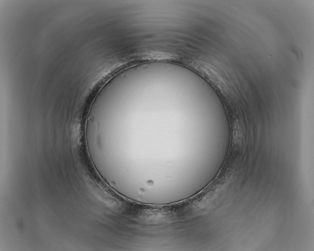 X0000112080351200908181247