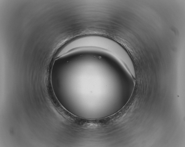 X0000112080352200908181247