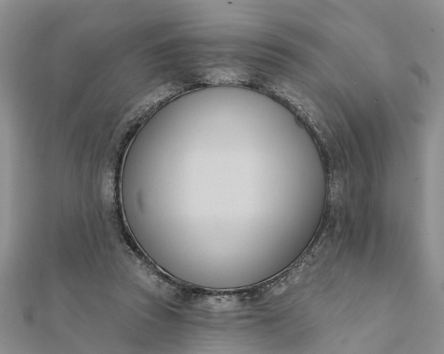 X0000112080353200908181247