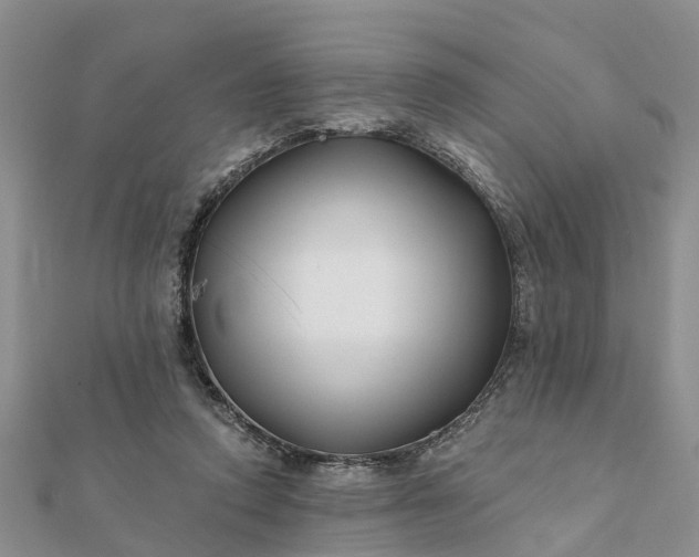 X0000112080354200908181247