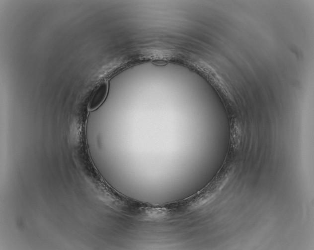 X0000112080355200908181247