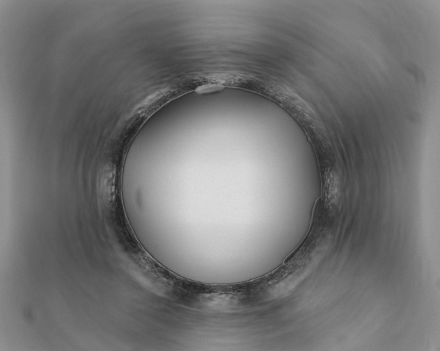 X0000112080356200908181247