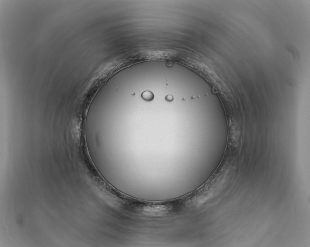 X0000112080357200908181247