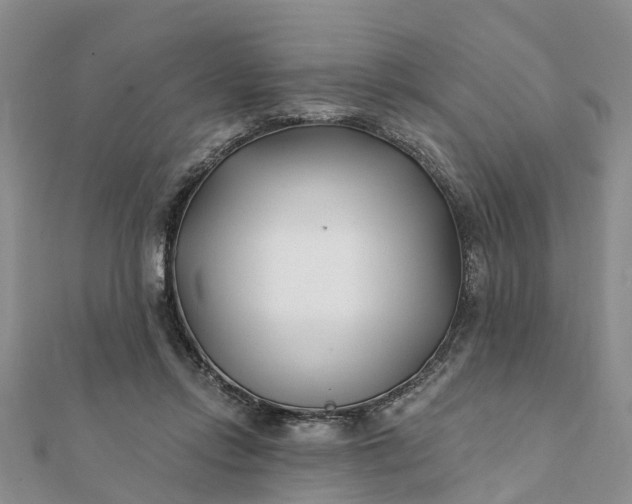 X0000112080358200908181247