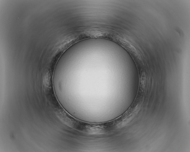 X0000112080359200908181247