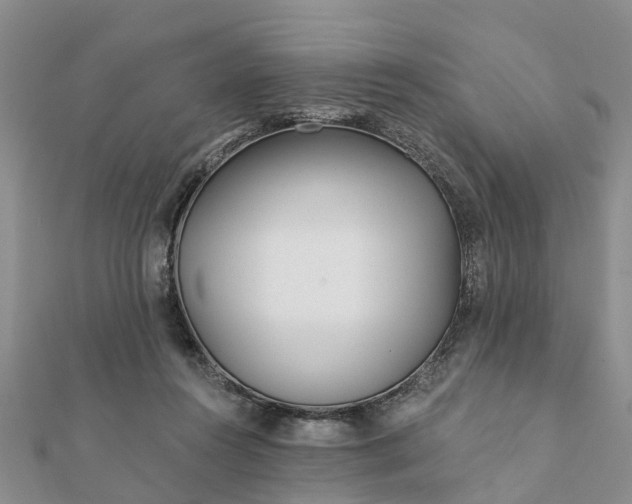 X0000112080360200908181247