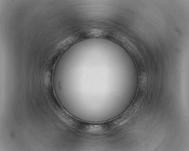 X0000112080361200908181247