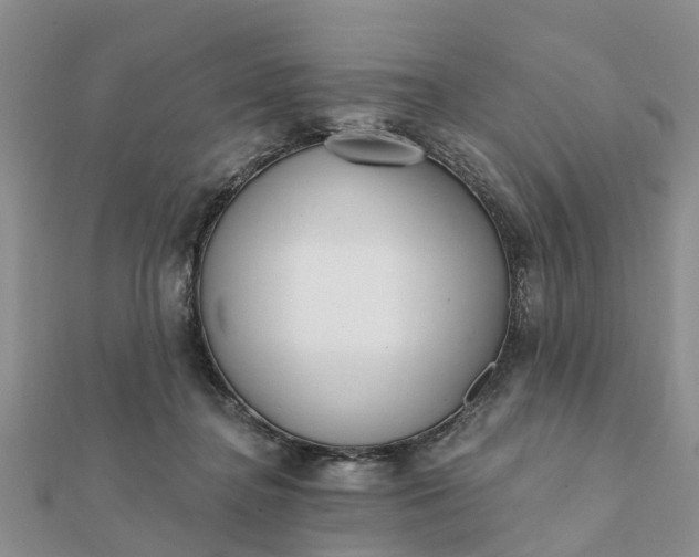 X0000112080364200908181247