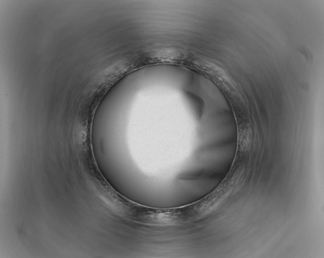 X0000112080365200908181247