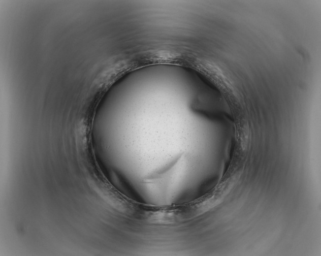 X0000112080366200908181247