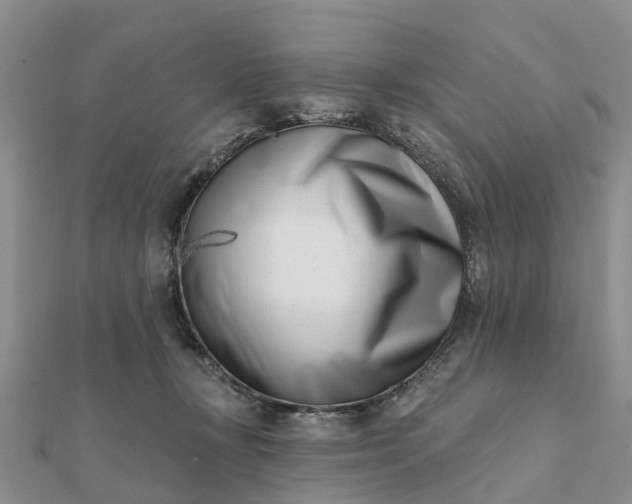 X0000112080367200908181247