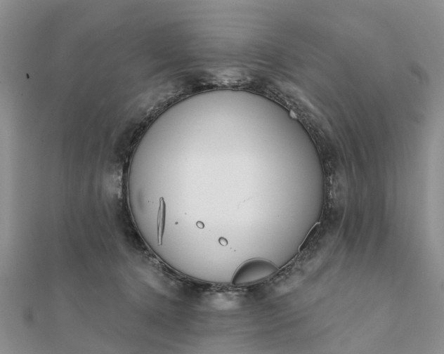 X0000112080368200908181247