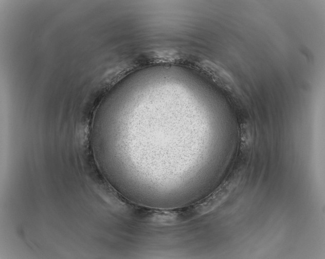 X0000112080369200908181247