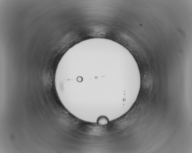 X0000112080370200908181247