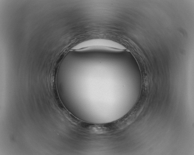 X0000112080372200908181247