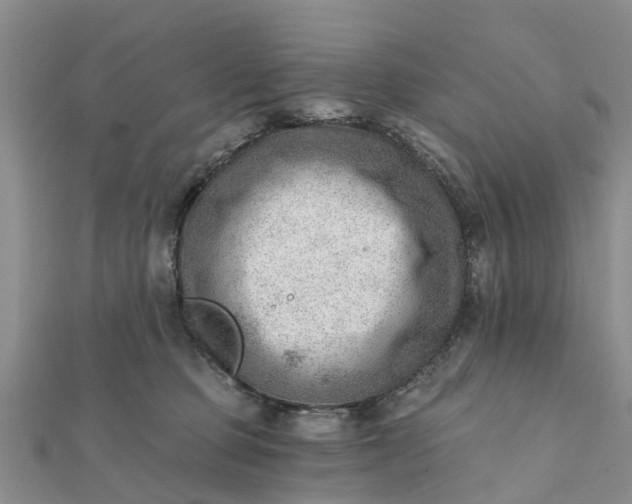 X0000112080373200908181247