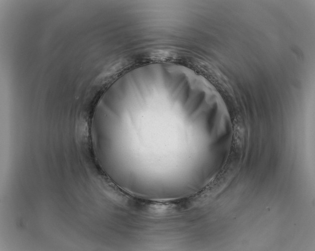 X0000112080375200908181247