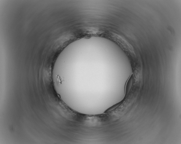 X0000112080376200908181247