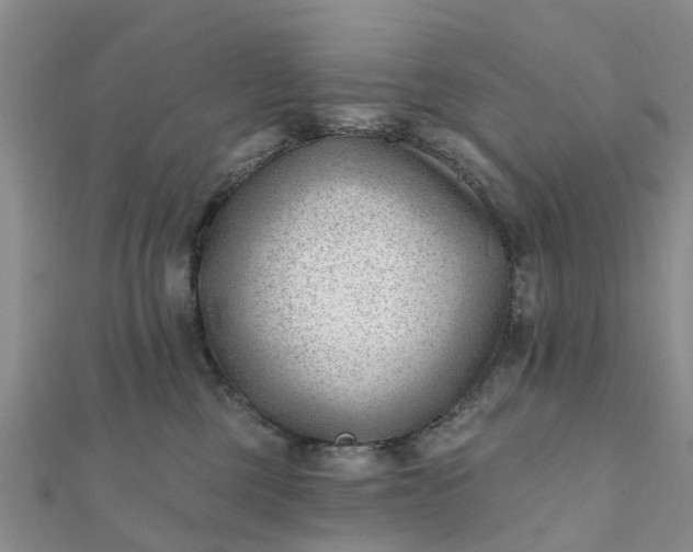 X0000112080377200908181247